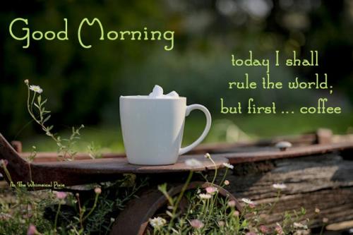 281393790_10161765565067892_2669998938147198588_n