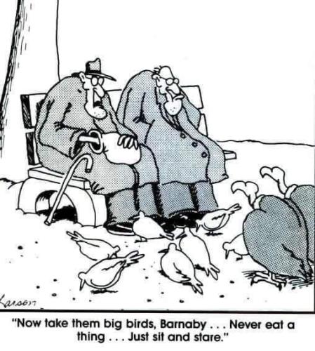 2caa3b7d98ef85656405d8560f0366b3