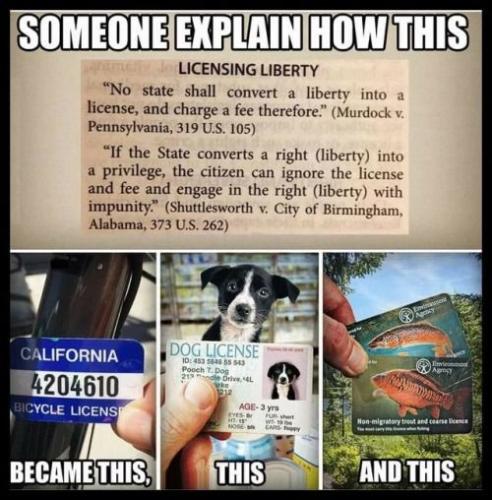 8e0443f8b35a1b2d13bd449e7d982948