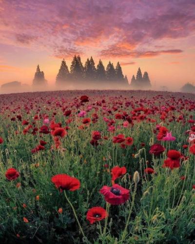 tumblr_95d7dd9fb064c6b7e3459925aac73b05_ea936cc7_540