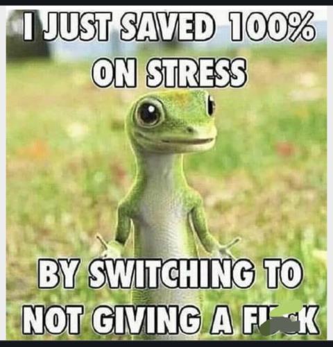 355b72c1-8658-4f60-87be-09a0a9ae9cfe