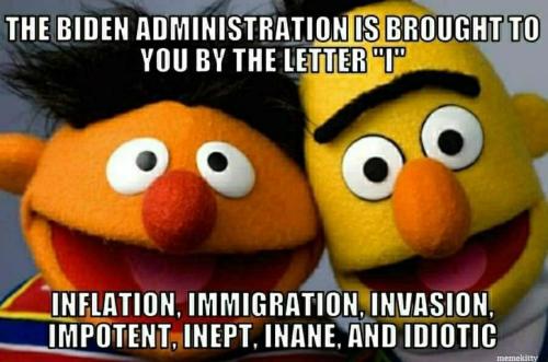 995179b2-6d8f-4730-b52c-3f4e836c4721