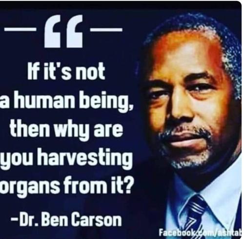 IMG_20220506_174416_194