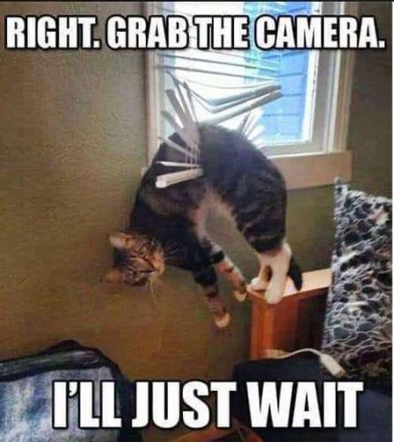 6ce489ee-a3f6-4313-8b0b-c58c483974b6