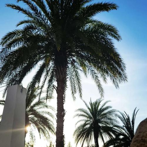 3e680d65-7ef9-429f-a9eb-a66186813406