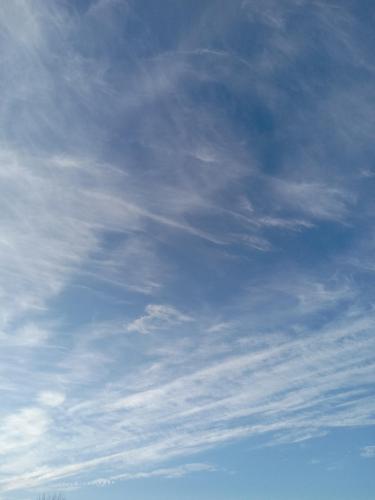 fba40eb5-a218-47ad-b50c-e14f4aaeb952