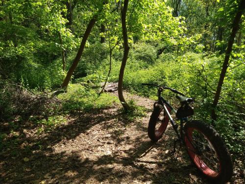 2a49d7bb-59a8-425d-8f74-70c873c56237