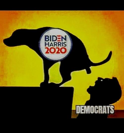 a1bb92b5-eb7a-4aa7-820b-9cce8f738e24