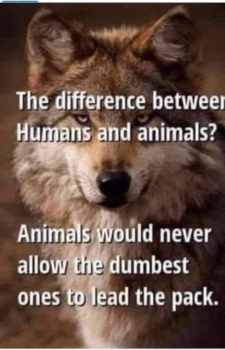 8631A468-2C3E-46BC-BEF7-46DEAF8033BA-87370-0000193139DD5939