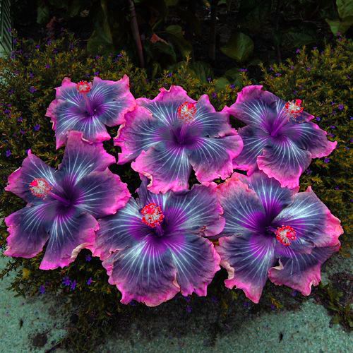 12:55:26 GMT-0500 (CDT)