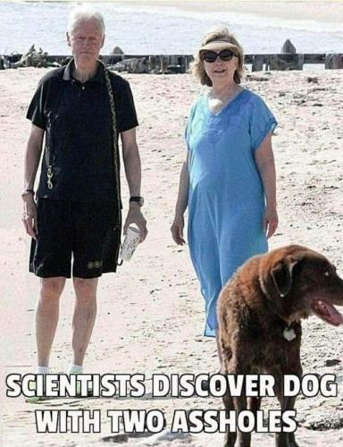 b147a70e-de98-49f2-8a07-358365dcbeea