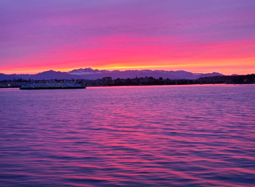 Screenshot_2022-05-27-20-04-01_kindlephoto-111932523