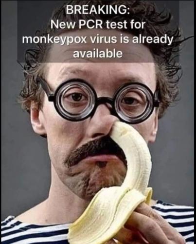 Don't be a monkey