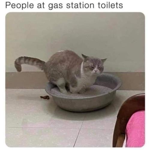 FB_IMG_1653669459921