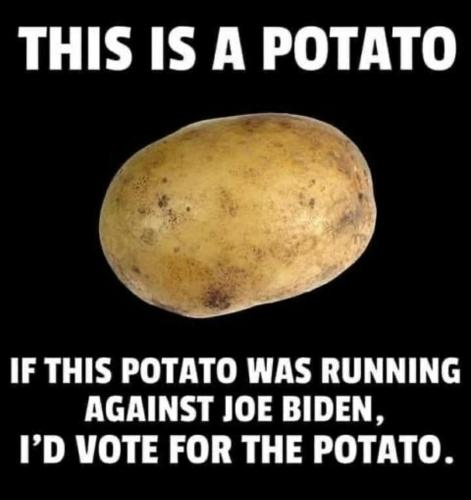 fb0e331a-6f8c-47fc-aff7-54efc8e426d5