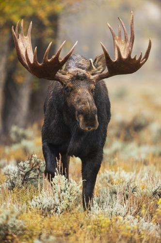 tumblr_p9r7rboD5M1tqx9n9o1_540