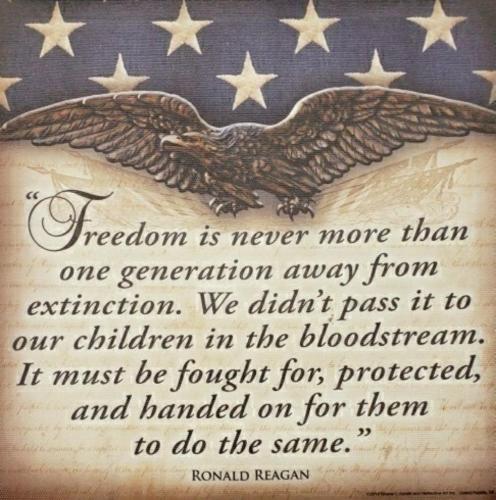 ddd1ee25-cf06-4362-a147-6d9840740368