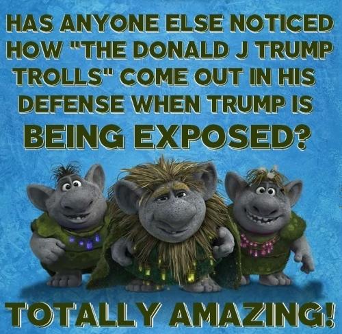 da7faad4a77b55099432061037b14899_1024 (2)