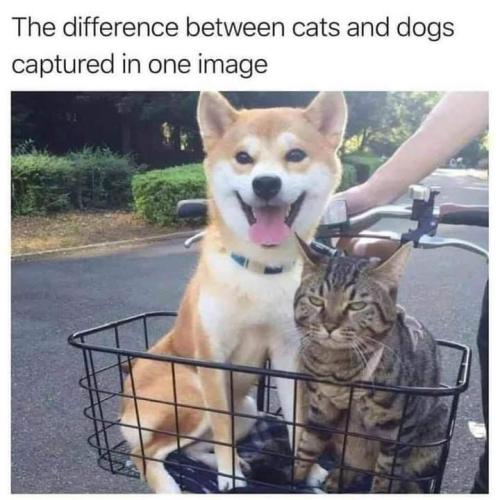 FB_IMG_1655232030189