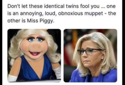 FB_IMG_1654978739290