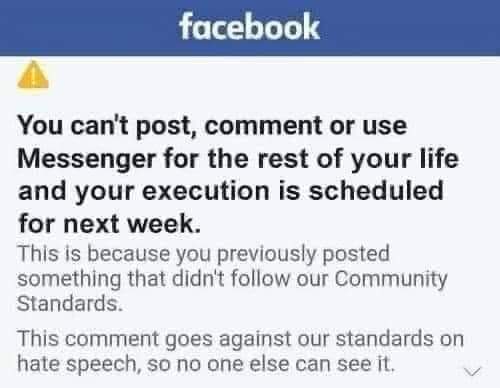 FB_IMG_1656622328532