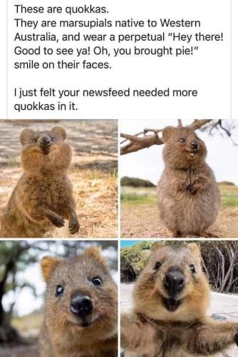 FB_IMG_1655480593976