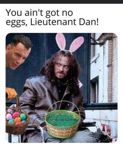 FB_IMG_1655480665440
