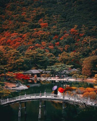 286044231_564402785055728_2287895377436964817_n