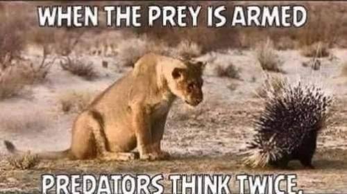 FB_IMG_1654320474900