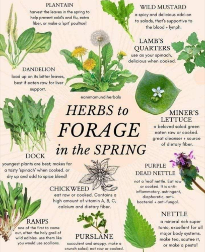 Screenshot_2022-05-09-22-41-45_kindlephoto-103572730