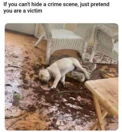 FB_IMG_1654612403457