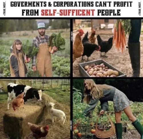 photo_2022-06-05_19-22-37