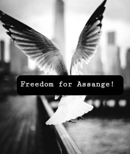 Assange 3
