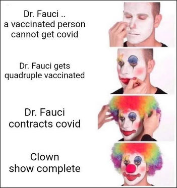 fauci221