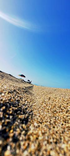 Picsart_22-06-06_18-25-12-525