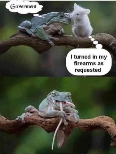 FB_IMG_1655409439499