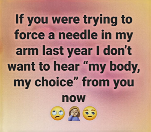 289608013_1738240483178428_339856402922644808_n