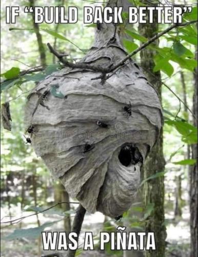 FB_IMG_1655328884029