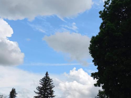 received_484149193460215