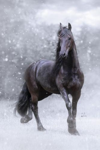 287794316_1670193653339019_9175930198714773473_n