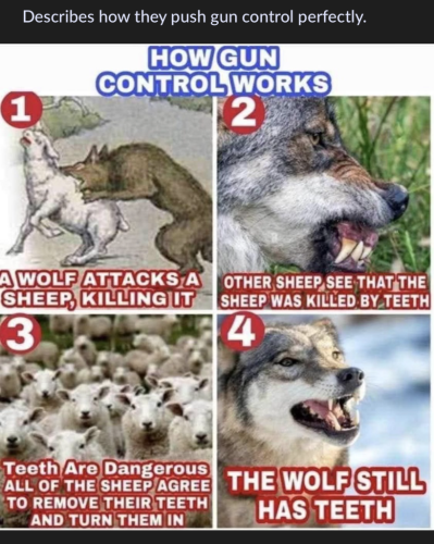 8f8fbe3b25813360eeb9c1005b14ef74_1024