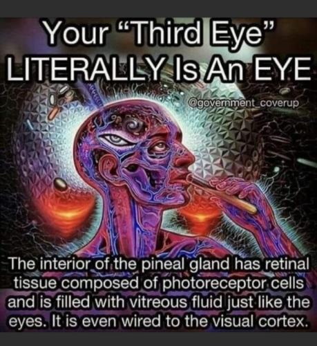 Screenshot_20220606-121533_MeWe