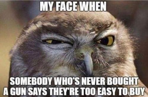 FB_IMG_1654526941672
