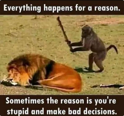 captures_chrome-capture-2022-5-23 (16)