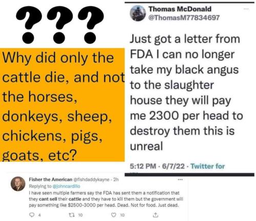 3c63e5d8535d4ab8231e4b9f90f5670d_1024