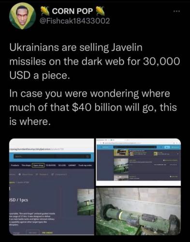 tumblr_39e6f6051af29878d855432b36ebadcd_8040e262_640