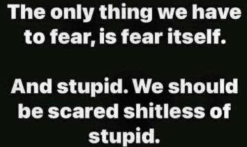 tumblr_c1a6096b2900d586bc4223ef6f55d380_380e8237_640