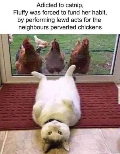 FB_IMG_1655479037364