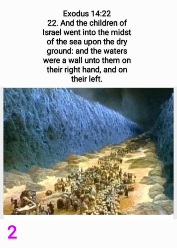 Screenshot_20220611-144702_Gallery~3