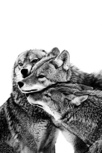 1614f5496657ea329feaf876fb82f0fc